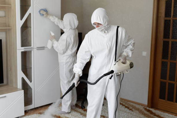 Best HVAC Mold Inspection and Cleaning  in USA